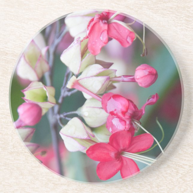 Red Pink and White Tropical Flowers Sandstone Coaster (Front)