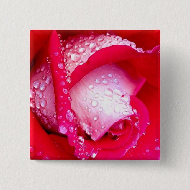 Red/Pink Dew-Kissed Rose Pinback Button (Front)