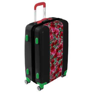 pink and green suitcase