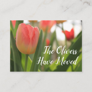 Red & Pink Tulip Photo Change of Address Card