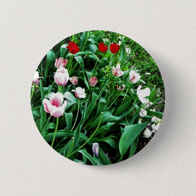 Red & Pink Tulips Pictures Button (Front)