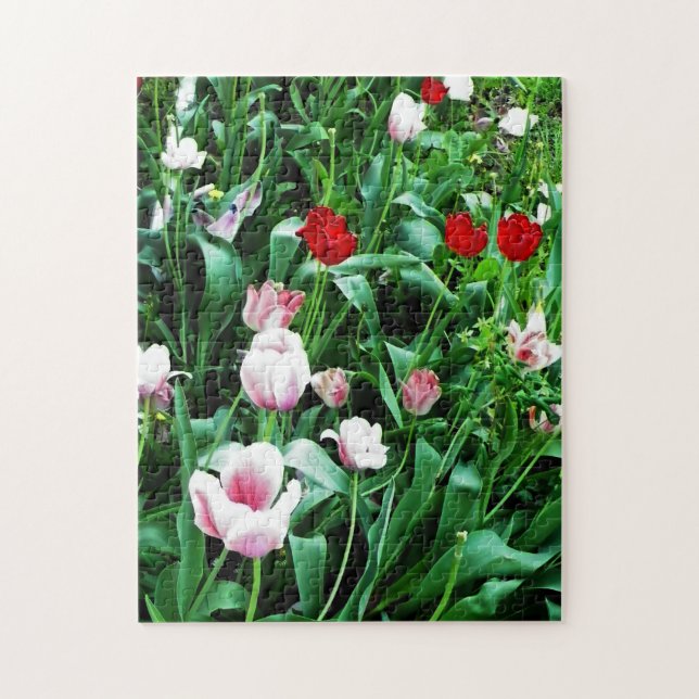 Red & Pink Tulips Pictures Jigsaw Puzzle (Vertical)