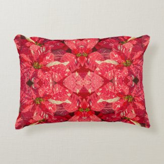 Red plant Poinsettia Flower