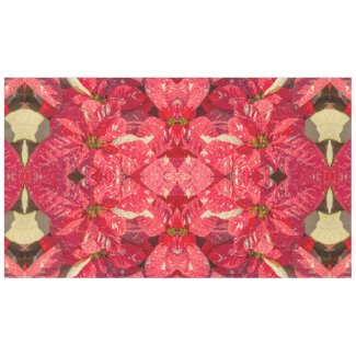 Red plant Poinsettia Flower
