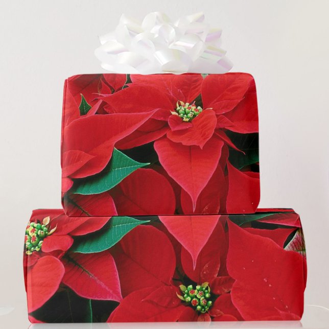 Red Poinsettia Christmas Gift Wrapping Paper (Creator Uploaded)