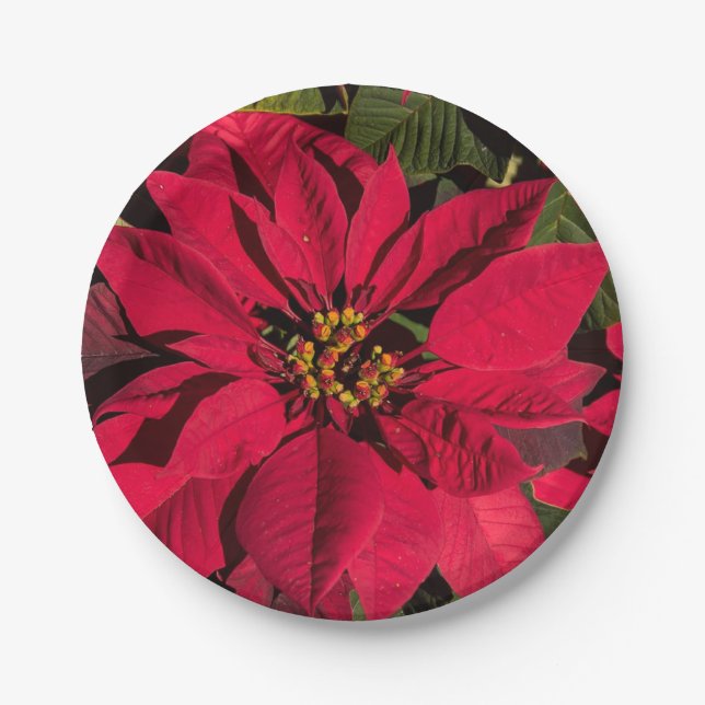 Red Poinsettia Christmas Party Paper Plates (Front)