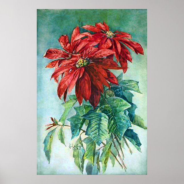 Red Poinsettia Flowers Vintage Painting Poster (Front)