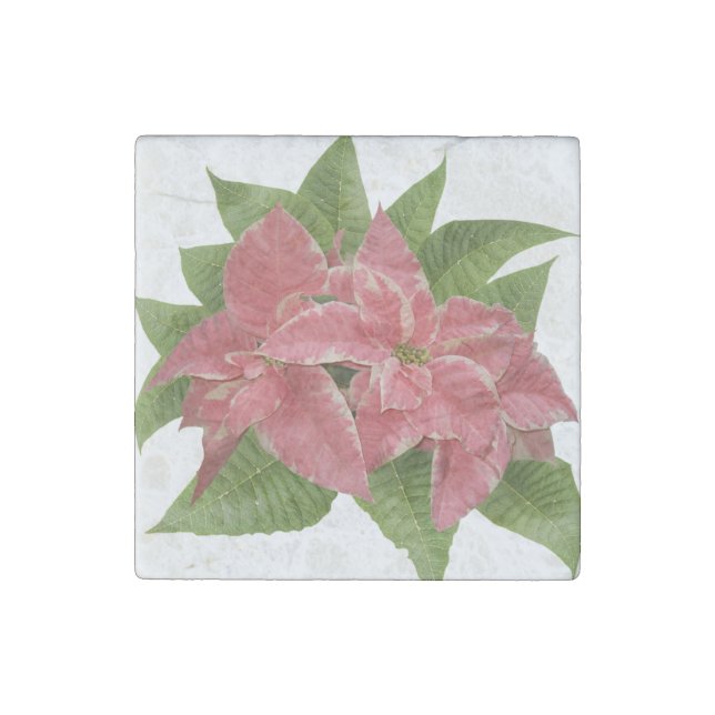 Red Poinsettia Marble Stone Coaster Magnet (Front)