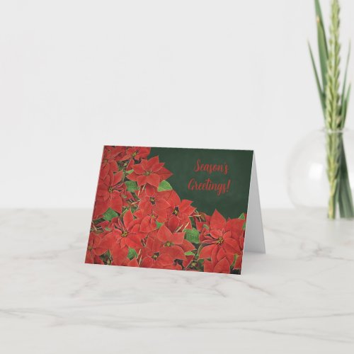 Red Poinsettia Seasons Greetings Card