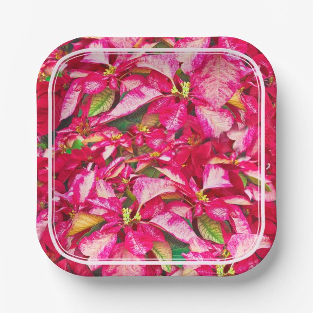 Red Poinsettias Christmas Floral Photography Paper Plates (Front)