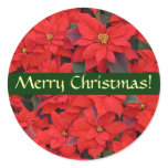Red Poinsettias Christmas Sticker