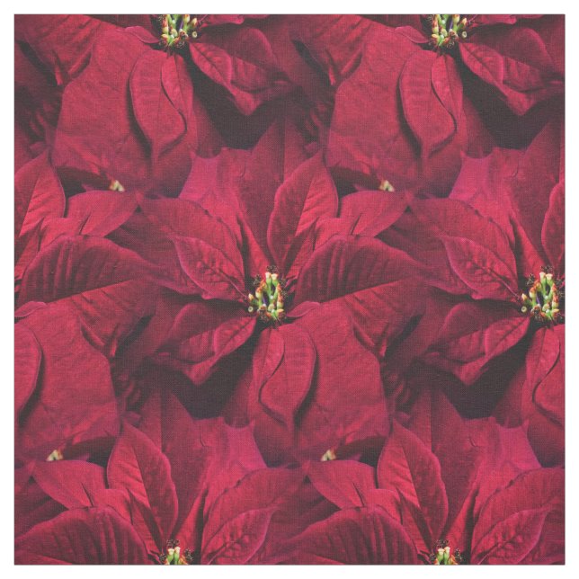 Red Poinsettias Fabric (Swatch)