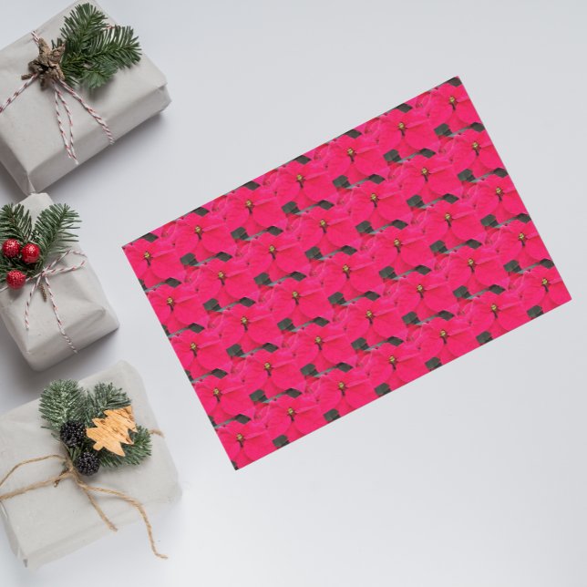 Red Poinsettias Floral Pattern Tissue Paper (In Situ)