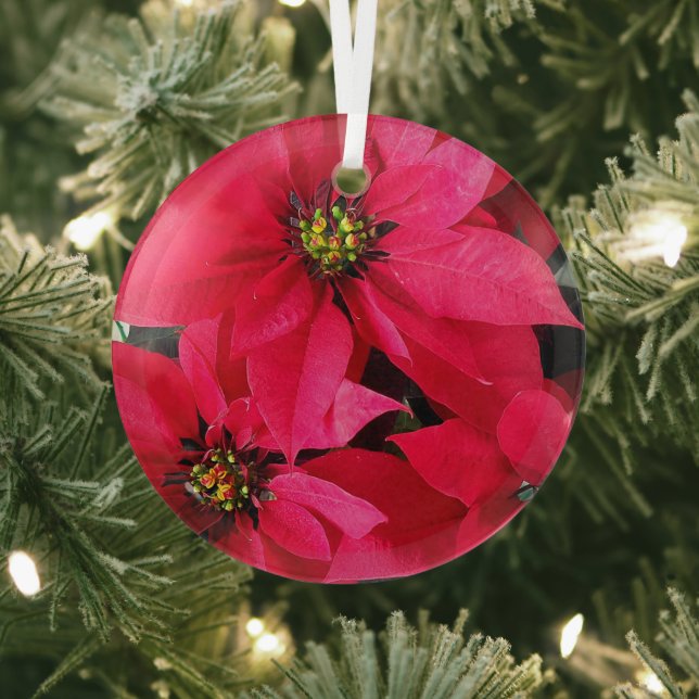 Red Poinsettias Glass Ornament (Insitu)