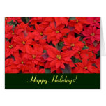 Red Poinsettias Holiday Card (Blank Inside)
