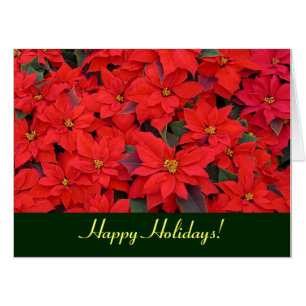 Red Poinsettias Holiday Card (Blank Inside)
