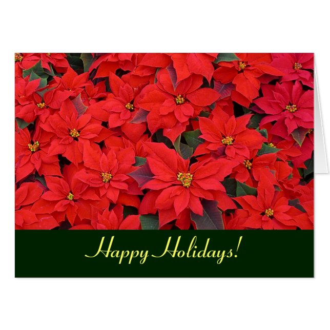 Red Poinsettias Holiday Card (Blank Inside) (Front Horizontal)