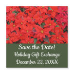 Red Poinsettias I Christmas Holiday Floral Photo