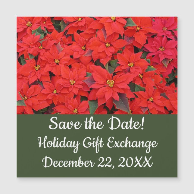 Red Poinsettias I Christmas Holiday Floral Photo (Front)