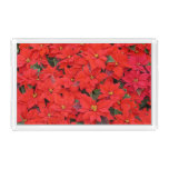 Red Poinsettias I Christmas Holiday Floral Photo Acrylic Tray