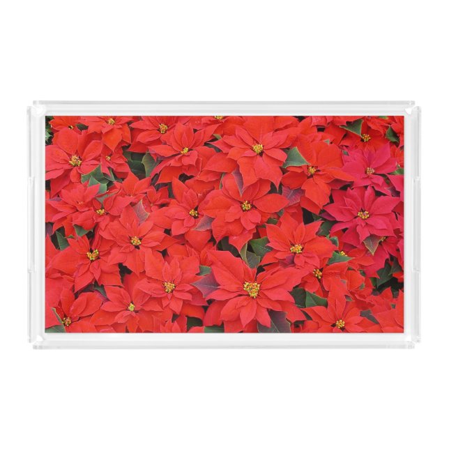 Red Poinsettias I Christmas Holiday Floral Photo Acrylic Tray (Front)