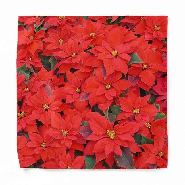 Red Poinsettias I Christmas Holiday Floral Photo Bandana (Front)