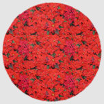 Red Poinsettias I Christmas Holiday Floral Photo Beach Towel