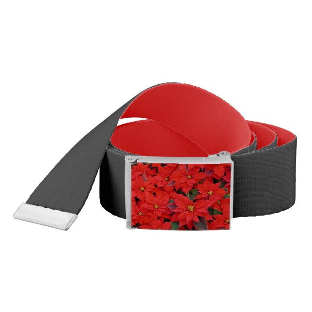 Red Poinsettias I Christmas Holiday Floral Photo Belt (Snake)