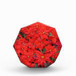 Red Poinsettias I Christmas Holiday Floral Photo Block