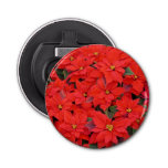 Red Poinsettias I Christmas Holiday Floral Photo Bottle Opener