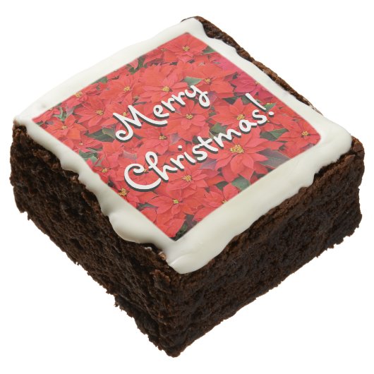Red Poinsettias I Christmas Holiday Floral Photo Brownie (Angled)