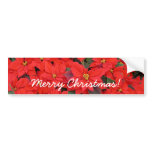 Red Poinsettias I Christmas Holiday Floral Photo Bumper Sticker