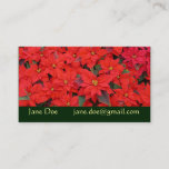 Red Poinsettias I Christmas Holiday Floral Photo Business Card