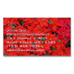 Red Poinsettias I Christmas Holiday Floral Photo Business Card Magnet