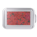 Red Poinsettias I Christmas Holiday Floral Photo Cake Pan