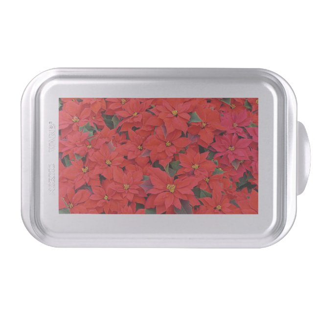 Red Poinsettias I Christmas Holiday Floral Photo Cake Pan (Front)