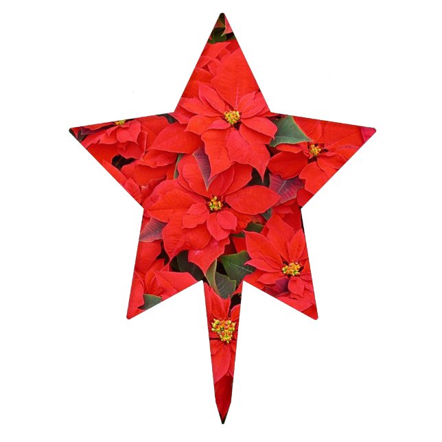 Red Poinsettias I Christmas Holiday Floral Photo Cake Topper (Front)