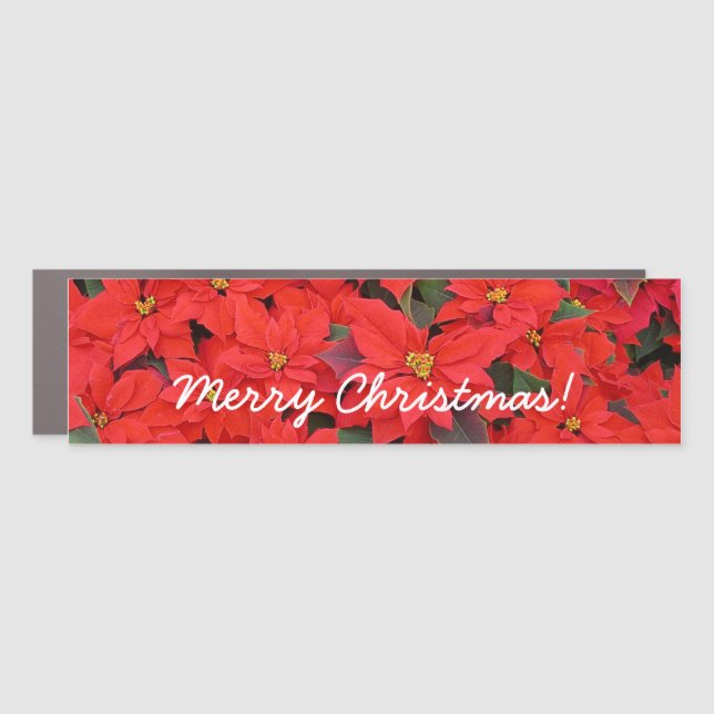 Red Poinsettias I Christmas Holiday Floral Photo Car Magnet (Front)