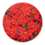 Red Poinsettias I Christmas Holiday Floral Photo Ceramic Knob
