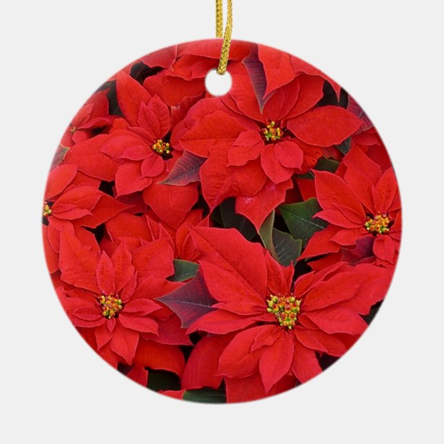 Red Poinsettias I Christmas Holiday Floral Photo Ceramic Ornament (Front)