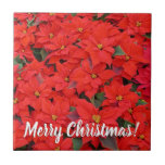 Red Poinsettias I Christmas Holiday Floral Photo Ceramic Tile