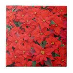 Red Poinsettias I Christmas Holiday Floral Photo Ceramic Tile