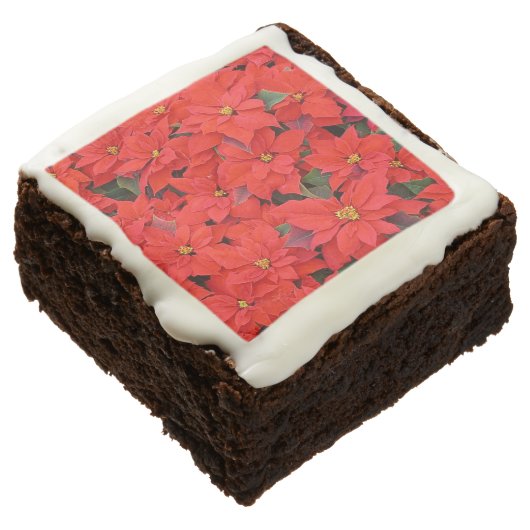 Red Poinsettias I Christmas Holiday Floral Photo Chocolate Brownie (Angled)