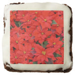 Red Poinsettias I Christmas Holiday Floral Photo Chocolate Brownie