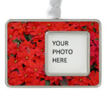 Red Poinsettias I Christmas Holiday Floral Photo Christmas Ornament