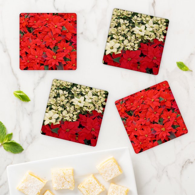 Red Poinsettias I Christmas Holiday Floral Photo Coaster Set (In Situ)