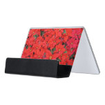Red Poinsettias I Christmas Holiday Floral Photo Desk Business Card Holder