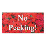 Red Poinsettias I Christmas Holiday Floral Photo Door Sign