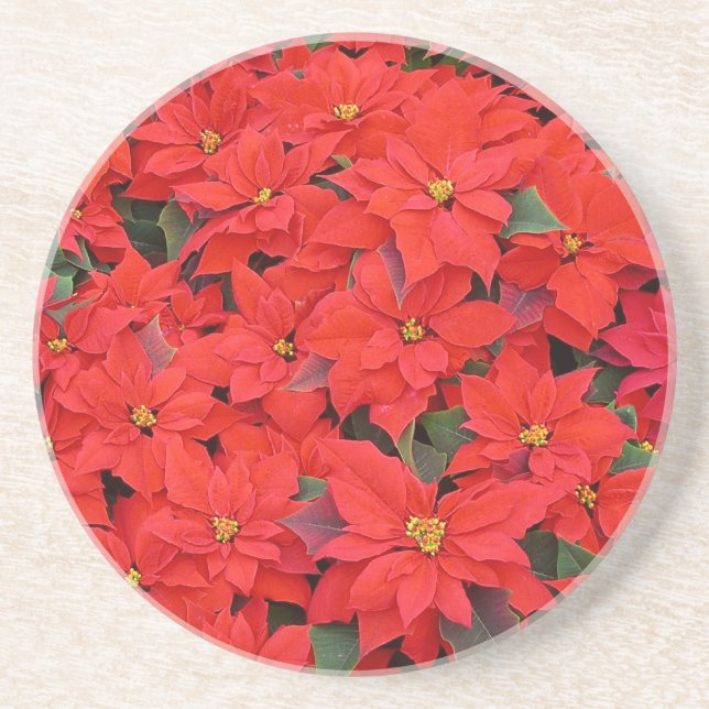 Red Poinsettias I Christmas Holiday Floral Photo Drink Coaster (Front)