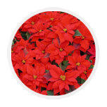 Red Poinsettias I Christmas Holiday Floral Photo Edible Frosting Rounds